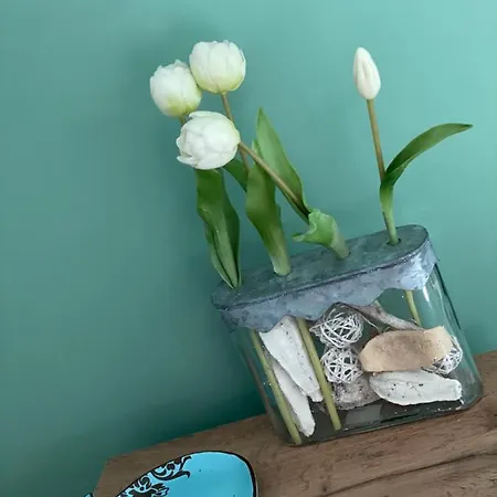 Haziko-szallashely *